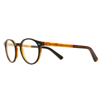 Montura de gafas Vanni Occhiali V2252-A61NERO/AVANA50 - V2252-A61NERO/AVANA50